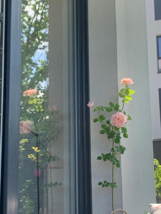 Garden Apartment Self Check-In - Bezkluczowy Dostep W 10 Minut O Kazdej Porze Красков Екстериор снимка